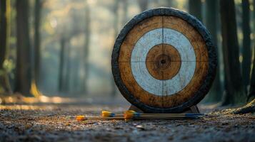 An arrow and a target in the woods photo