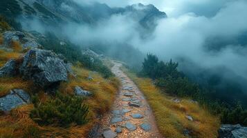 A path leads up to a mountain with fog photo