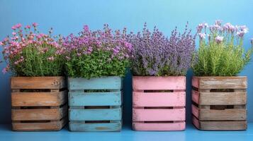 Three wooden crates with flowers in them photo