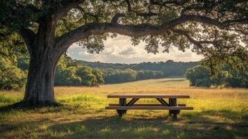 A picnic table under a tree in a field photo