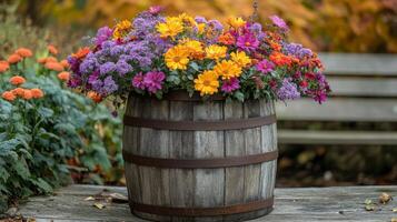 A wooden barrel filled with colorful flowers photo