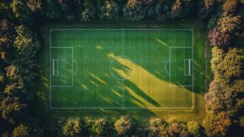 An aerial view of a soccer field surrounded by trees photo
