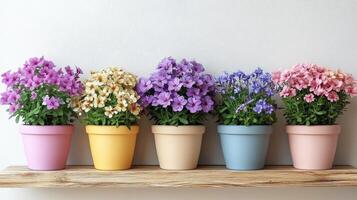 Five colorful flower pots on a shelf photo