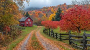 A dirt road leads to a red barn in the fall photo
