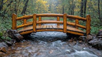 A wooden bridge crosses a stream in the woods photo