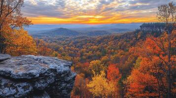 A view of the mountains and trees in autumn photo