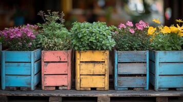 Colorful flower pots in wooden crates on a pallet photo