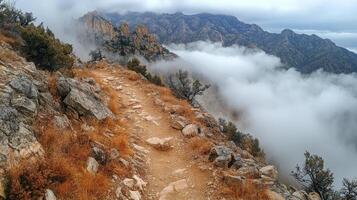 A trail leads up to a mountain with clouds in the background photo