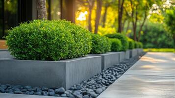 A garden with plants and stones in planters photo