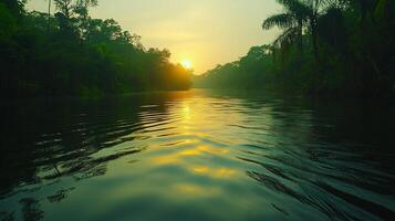A river with trees and water at sunset photo
