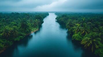 A river in the middle of a tropical forest photo