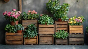 Colorful flower and vegetable garden setup with wooden planters against a grey wall photo