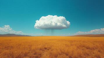 A cloud is floating over a field of grass photo