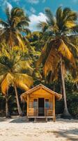 Tropical beach hut on the beach with palm trees photo