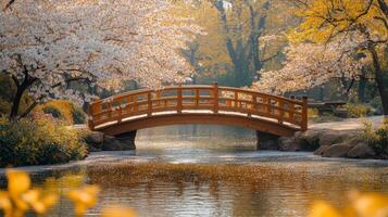 A bridge over a pond surrounded by trees photo