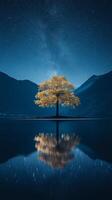 A lone tree in the middle of a lake at night photo