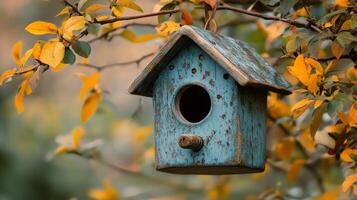 A blue birdhouse is hanging from a tree photo