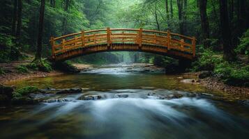 A bridge over a stream in the woods photo