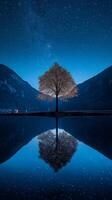 A lone tree is reflected in the water at night photo