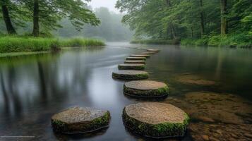 Stepping stones in the water in a forest photo