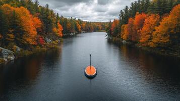 A boat floating on a river surrounded by trees photo