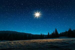 A star shines brightly in the sky over a field photo