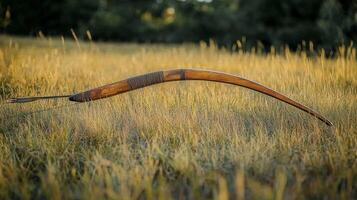 A bow is sitting in a field photo