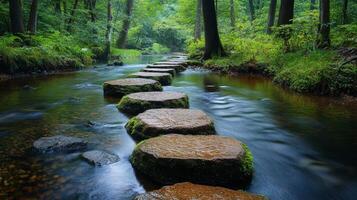 Stepping stones in the middle of a stream photo