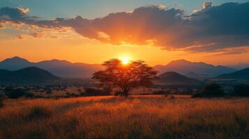 Breath-taking sunset over golden grassland with vibrant sky hues in a serene landscape photo