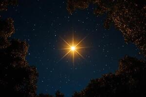 The star of bethlehem photo