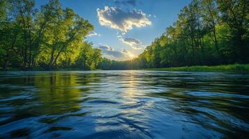 A river with trees and water at sunset photo