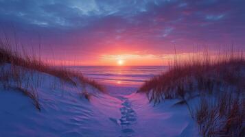 A path leads to the beach at sunset photo