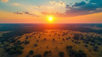 Sunset over the savannah photo