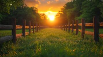 A fence line in the grass with the sun setting behind it photo