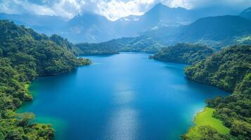 The blue lake in the middle of the jungle photo