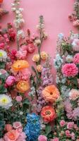 Vibrant assortment of flowers against a pink background showcasing various colors and textures photo