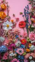 A colorful arrangement of flowers on a pink background photo