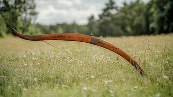 A wooden bow is sitting in a field of grass photo