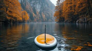 A paddle board floating in the water near a forest photo