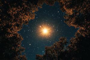 The star is shining brightly in the sky above trees photo
