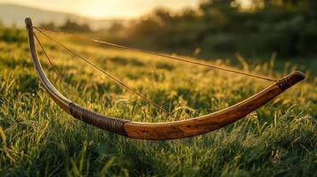 A wooden curved object in a field photo