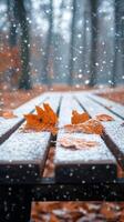 Snow falling on a wooden bench with leaves photo