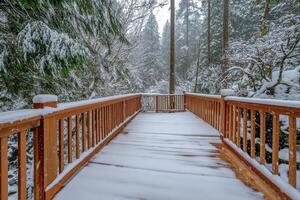 Snow-covered deck overlooking a tranquil winter forest landscape in a remote area photo