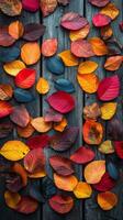 Autumn leaves on wooden background photo