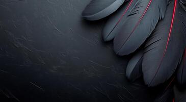 Black feathers on a dark background photo
