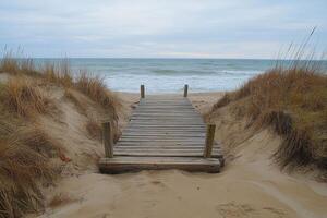 A wooden walkway leading to the ocean photo