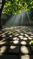 A brick path with leaves and sunbeams photo