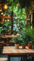 A table with potted plants and a lamp photo