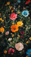 Colorful flowers in a field photo