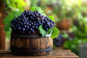 A barrel filled with grapes on a wooden table photo